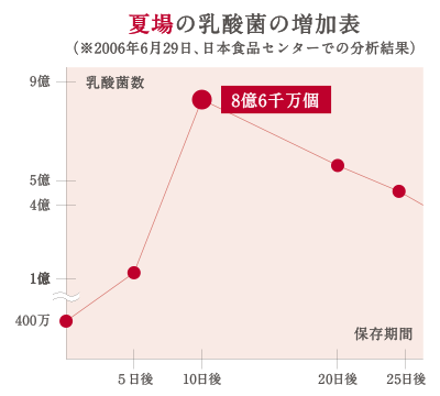 夏場の乳酸菌の増加表